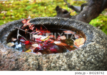 もみじが浮かぶつくばい 84328742