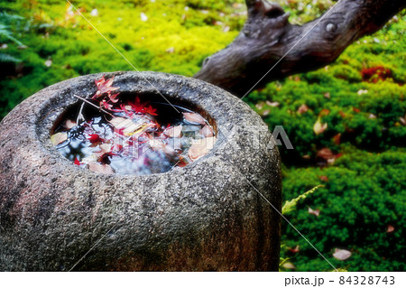 苔の日本庭園とつくばい 84328743