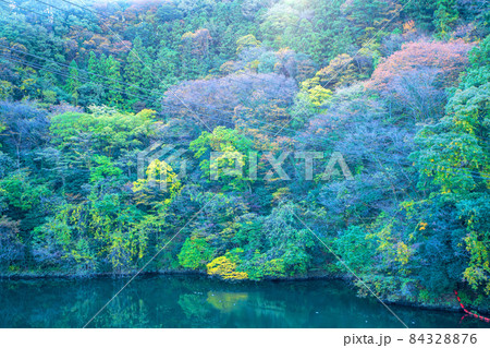 高津戸ダム湖 天端からの眺め 大間々 秋の風景 高津戸ダム湖 天端からの眺め 大間々 秋の風景 84328876