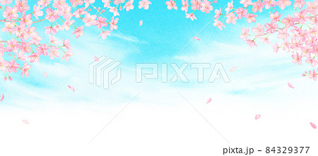 透明水彩で描いた桜と空 アナログ手描き 透明水彩で描いた桜と空 アナログ手描き 84329377