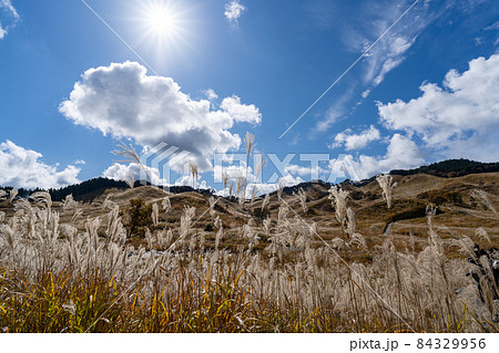砥峰高原 84329956