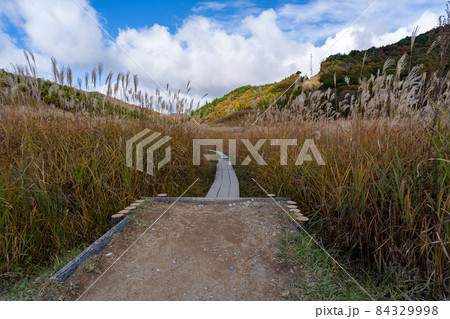 砥峰高原 砥峰高原 84329998