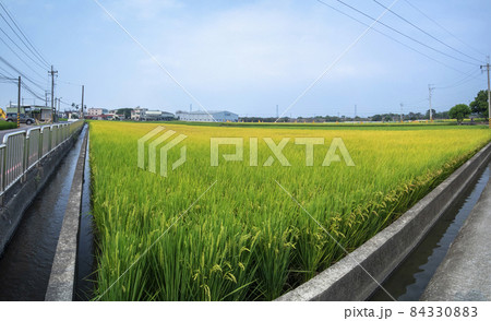 台湾 台中市 台中 84330883