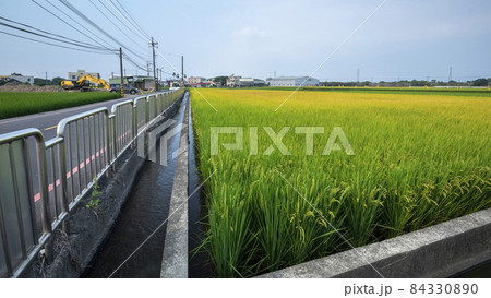 台湾 台中市 台中 84330890