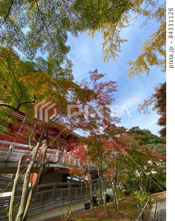 成田山新勝寺の秋の紅葉の様子。秋らしい風景です。 84331126