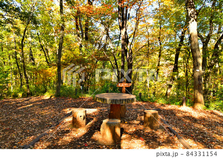 都立 浅間山公園/前山(東京都府中市)【2021.11】 都立 浅間山公園/前山(東京都府中市)【2021.11】 84331154