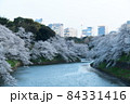 千鳥ヶ淵の桜 84331416