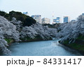 千鳥ヶ淵の桜 84331417