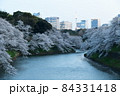 千鳥ヶ淵の桜 84331418