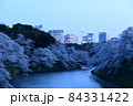千鳥ヶ淵の桜 84331422