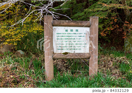 兵庫県三木市にある紅葉の綺麗な第二十六番札所 大谷山 大谿寺 伽耶院(だいけいじきゃらいん) 兵庫県三木市にある紅葉の綺麗な第二十六番札所 大谷山 大谿寺 伽耶院(だいけいじきゃらいん) 84332129