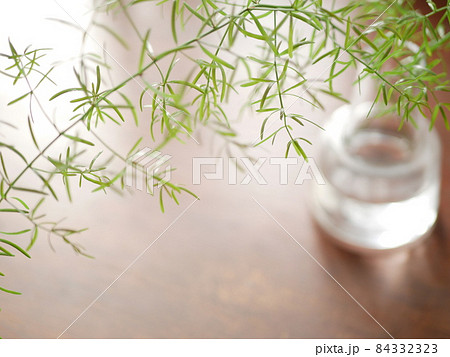 フラワーベースに生けたアスパラガス・スプレンゲリー【ダイニングイメージ】 84332323