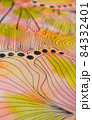 水彩絵具でつけた淡い色と線をつかった細かい模様のテクスチャー 84332401