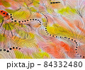 オレンジ色の淡く繊細な線を使った模様 84332480