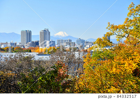 都立 浅間山公園より府中駅、富士山方面を望む(東京都府中市)【2021.11】 84332517