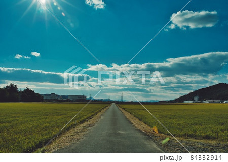 ノスタルジックな田園を突き刺す一本道スナップ 84332914