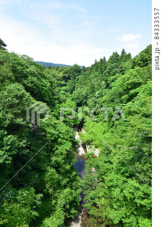 2021年　秩父鉄道秩父本線寄居駅から三峰口駅までの各駅と周辺の風景 84333557