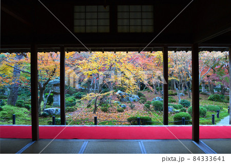 2021年錦秋の早朝に参拝した京都市圓光寺の額縁庭園が美しい 2021年錦秋の早朝に参拝した京都市圓光寺の額縁庭園が美しい 84333641