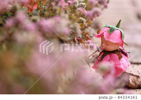 マイガーデン 84334161