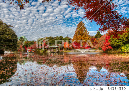 高岡古城公園 紅葉  10 84334530