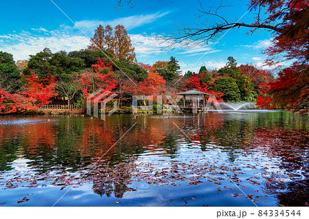 高岡古城公園 紅葉  13 84334544