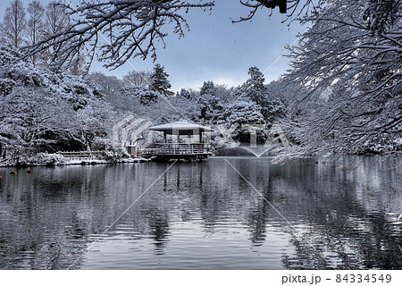 高岡古城公園 雪景色 4 高岡古城公園 雪景色 4 84334549