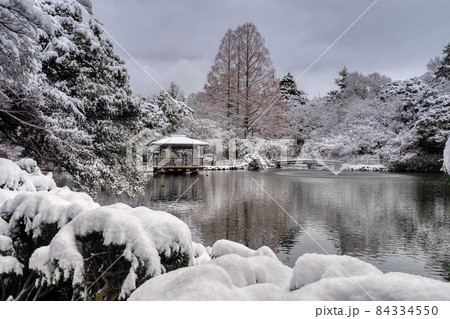 高岡古城公園 雪景色  5 84334550