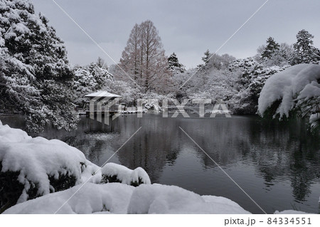 高岡古城公園 雪景色  6 84334551