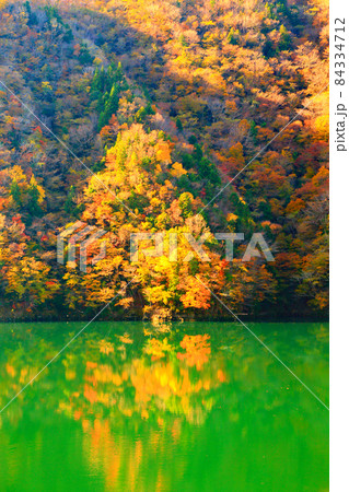 みどり湖 新豊根ダム みどり湖 新豊根ダム 84334712