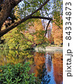 秋の池のほとりの紅葉の木々のカラー写真 84334873