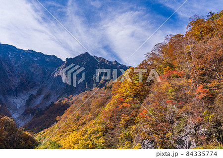 (群馬県)谷川岳 一ノ倉沢の紅葉 (群馬県)谷川岳 一ノ倉沢の紅葉 84335774