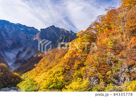 （群馬県）谷川岳　一ノ倉沢の紅葉 84335778