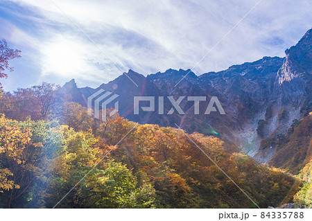 (群馬県)谷川岳 一ノ倉沢の紅葉 (群馬県)谷川岳 一ノ倉沢の紅葉 84335788