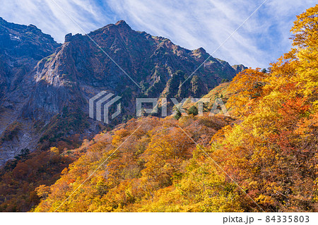 (群馬県)谷川岳 一ノ倉沢の紅葉 (群馬県)谷川岳 一ノ倉沢の紅葉 84335803