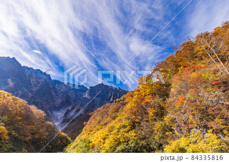 (群馬県)谷川岳 一ノ倉沢の紅葉 (群馬県)谷川岳 一ノ倉沢の紅葉 84335816