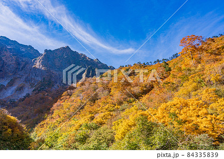 （群馬県）谷川岳　一ノ倉沢の紅葉 84335839
