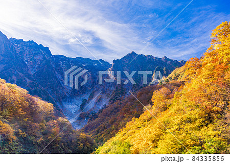 (群馬県)谷川岳 一ノ倉沢の紅葉 (群馬県)谷川岳 一ノ倉沢の紅葉 84335856