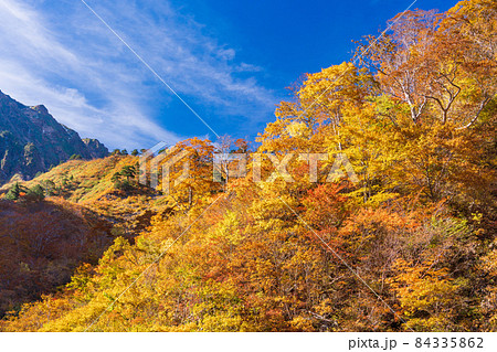 (群馬県)谷川岳 一ノ倉沢の紅葉 (群馬県)谷川岳 一ノ倉沢の紅葉 84335862