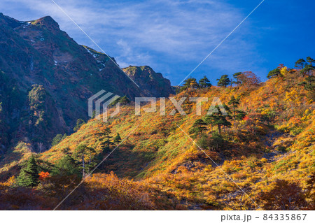 (群馬県)谷川岳 一ノ倉沢の紅葉 (群馬県)谷川岳 一ノ倉沢の紅葉 84335867