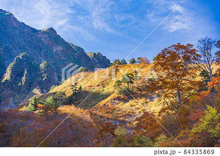 (群馬県)谷川岳 一ノ倉沢の紅葉 (群馬県)谷川岳 一ノ倉沢の紅葉 84335869