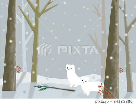 オコジョの冬 オコジョの冬 84335880