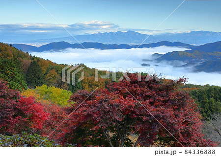 埼玉県秩父市と秩父郡皆野町にまたがる紅葉の美の山公園から 眼下の雲海と日の出朝焼け 埼玉県秩父市と秩父郡皆野町にまたがる紅葉の美の山公園から 眼下の雲海と日の出朝焼け 84336888