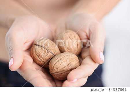 Three ripe walnuts in female hands closeup 84337061
