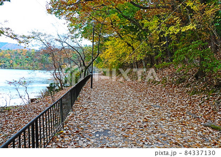 京都 宝が池公園 京都 宝が池公園 84337130