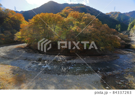 埼玉県秩父市浦山　浦山川沿い浦山渓流の紅葉 84337263