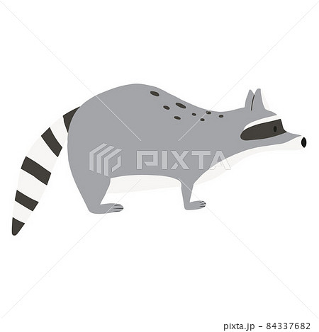 Childrens illustration of a cute raccoon isolated on a white background. Forest raccoon hand-drawn in cartoon style. 84337682