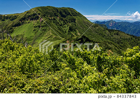 神楽ノ峰から見る夏の苗場山と鳥甲山 84337843