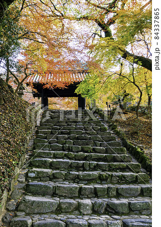 紅葉が美しい秋月城跡(福岡県朝倉市) 紅葉が美しい秋月城跡(福岡県朝倉市) 84337865