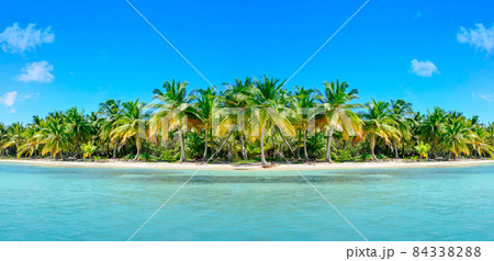 Image of sunny happiness, on a tropical vacation spot . Image of sunny happiness, on a tropical vacation spot . 84338288