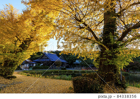 鎌倉幕府ゆかりの北条氏の菩提寺の神奈川県横浜市金沢区の称名寺の秋の